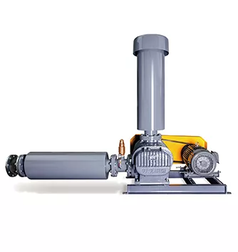 Roots Blower